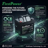 Batería de Ciclo Profundo AGM de 12V 33Ah Libre de Mantenimiento con 500 Ciclos de Vida Útil para Herramientas Eléctricas y Juguetes - FirstPower LFP1233D