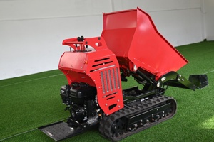 Minidumper Hidráulico de Gasolina de Cuatro Ruedas de Acero Industrial Chino 2026 con Certificación CE EPA, 500 kg, con Cargador, Carretilla y Herramientas OEM - Product Image 2