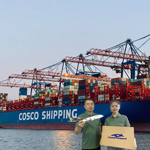 最便宜的快速交货DDP亚马逊FBA海运货运代理中国到加拿大美国阿联酋迪拜澳大利亚欧洲 - Product Image 1