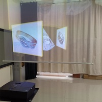 Film d'écran intelligent en tissu PET transparent 3D à projection arrière 16:9, mural et portable, garantie 1 an - Offre Spéciale