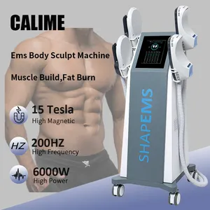 EMS Body Slim Mmachine Muscle Build Fat Burn Weight Loss 15 Tesla 6000w 4 Handle Body Shape Contour Sculpt Emslim Neo Nova