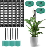 Poteaux en plastique durables pour plantes, petit poteau en mousse pour plantes d'intérieur sphaigne, plante grimpante, plantes d'argent