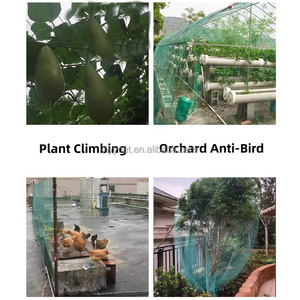 Filet en treillis pour gourde amère au <span class=keywords><strong>concombre</strong></span> à <span class=keywords><strong>prix</strong></span> réduit - Product Image 4