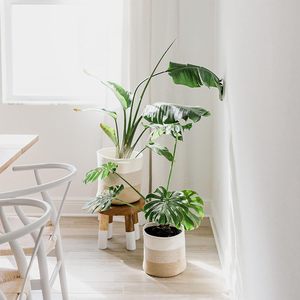 Woven Jute Spliced Cotton Rope <strong>Plant</strong> <strong>Basket</strong> Modern Woven Storage <strong>Basket</strong> <strong>for</strong> Indoor Planter Decorative Flower Pots - Product Image 5