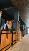 Boîtes d'écurie pour chevaux fonctionnelles élégantes de luxe supérieures portables pleine grandeur modernes de haute qualité