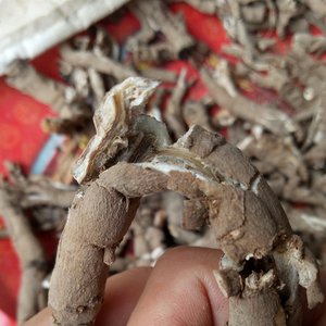 Bán Vỏ Rễ Thô Tự Nhiên Trung Quốc Mu Dan Pi Vỏ Rễ Khô - Product Image 3