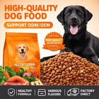 Vente en gros de croquettes sèches pour chiens riches en protéines, en vrac, étiquette privée OEM disponible