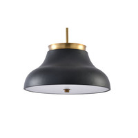Lampe suspendue créative en fer forgé pour salle de bain, à couche unique, certifiée LED/ETL, DIY Auratus, garantie 1 an, fournie directement par l'usine OEM ODM