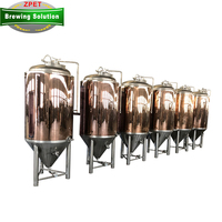 Système de brassage de bière domestique ZPET 200L 300L 500L, équipement de brasserie nano, fournisseur de machines à brasser en Chine