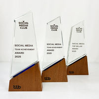 Trophée en cristal personnalisé avec logo sur mesure et base en bois MH-MJ0562