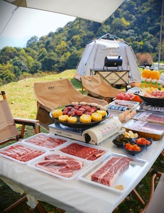 Customizable Small <strong>Disposable</strong> Food <strong>Tray</strong> with Leakproof Plastic <strong>tray</strong> for <strong>Dessert</strong> Packaging <strong>Disposable</strong> Food <strong>Tray</strong> - Product Image 5
