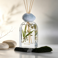 Diffuseur d'arômes en verre écologique de luxe avec bâtonnets séchés, sans parabène, sans alcool, parfum frais longue durée, purificateur d'air