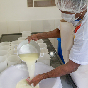 Línea de Producción de Queso Automática Completa de 300L-2000L |   Recipiente de Acero Inoxidable para Queso <span class=keywords><strong>Mozzarella</strong></span> y <span class=keywords><strong>Cheddar</strong></span> - Product Image 4