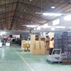 1,6 Zoll 2 Zoll feste Rollen leichte pp Lenkrad - Product Image 5