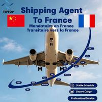 Agente de Envíos, Envío Aéreo a Francia, Logística del Aeropuerto de Lyon-Saint Exupéry, Empresa de Logística de Entrega, Transporte de Carga