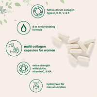Chewing-gum à la menthe longue durée avec suppléments à base de cannelle et d'herbes reminéralisantes pour garder une bouche fraîche et favoriser la santé des gencives