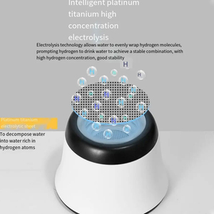 Factory Direct SPE Water Electrolysis Purity 99.99% 3000PPB Ionizer for Outdoor <b>Camping</b> Battery Plastic Desktop Portable Hydrog - Product Image 2