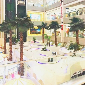 Pianta di Palma Realistica 6m per Decorazione Interna di Banche, Sale d'Attesa e Aree Servizio Clienti - Product Image 1