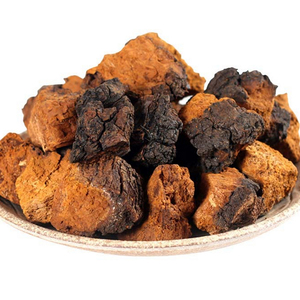 Высококачественные вкусные грибы Чаги замороженные грибы - Product Image 3