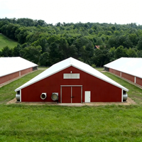 Structure en acier haute résistance, isolée thermiquement, résistante au vent et aux tremblements de terre, poulailler moderne préfabriqué