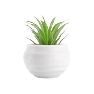Artificial Succulent Realistic Eco-Friendly Handmade Modern Plastic <strong>Bonsai</strong> for Office Desktop and Home Small Potted Decor - Product Image 5