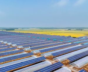 Système de stockage photovoltaïque JinSunHybrid Grid Microgrid avec batterie lithium-ion, refroidissement IP65, pour usage agricole - Product Image 6
