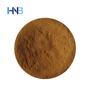 Extracto de Ostra HNB Factory Supply 10:1, Extracto de Ostra en Polvo Soluble en Agua, Suplemento para el Cuidado de la Salud - Product Image 1
