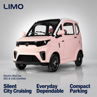 Voiture Utilitaire Électrique Compacte à Vendre : Mini-Voiture Électrique Fermée pour Adultes avec Homologation CEE COC