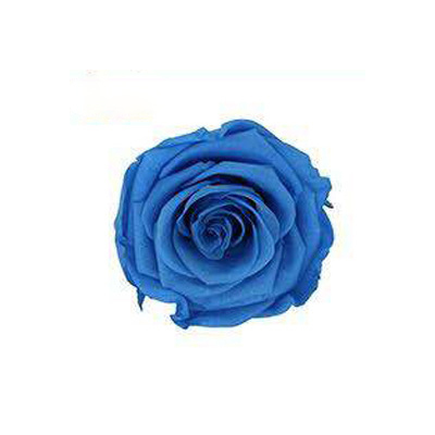 Bleu vif