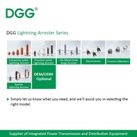 Supresor de Sobretensiones de Óxido Metálico de Media y Alta Tensión DGG, Supresor de Rayos para Protección de Redes de Distribución Eléctrica
