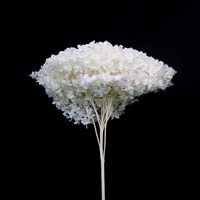 Boule de fleurs d'hortensia naturelles préservées Anna, couleur blanche populaire, pour décoration de mariage, fournitures de fête, centre de table floral