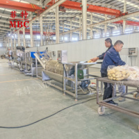 Ligne de production de nettoyage et de transformation du manioc, pommes de terre, carottes, radis et patates douces, laveuse, machine à laver
