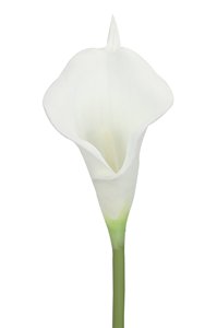 Plástico Calla Lily boda decoración ramo hogar Navidad floral joyería flor Halloween regalo flor - Product Image 3