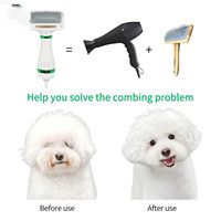 Sèche-cheveux et brosse démêlante 2-en-1 en acier inoxydable pour animaux de compagnie, température réglable pour petits chiens et chats, alimentation par charge