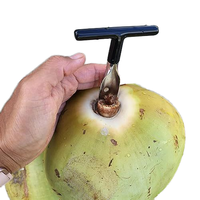 Ouvre-noix de coco en acier inoxydable en gros pour le camping en plein air Outil en métal pour fruits et légumes pour ouvrir les noix de coco