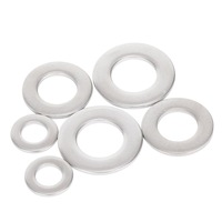 Washer Professional Manufacturing Custom Flat Washer Stainless Steel 406 Flat Washer