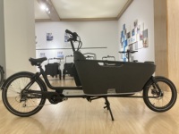 Bicicletta Elettrica da Carico Stile Olandese, Bici Cargo Familiare con Carico Frontale, Bici da Carico per Bambini, Motore BAFANG 250W, Capacità di Carico 150KG