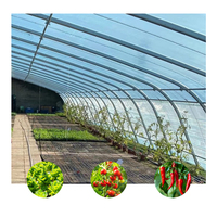 Approvisionnement d'Usine Système Modulaire Poly Automatisé Tunnel de Film Serre Horticole pour l'Agriculture