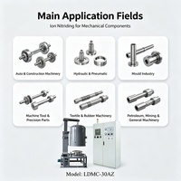 Four de nitruration contrôlée à économie d'énergie Samy LDMC-30AZ avec chambre en acier inoxydable pour le durcissement des boîtiers d'arbres d'engrenage