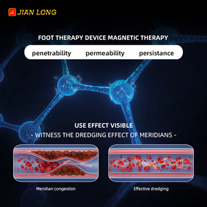 Terapeuta profesional Terapia de biorresonancia Terapia de calefacción Masaje de pies Magnetoterapia Terahertz THZ Dispositivo de curación de frecuencia - Product Image 4