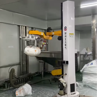Robot de Desempaquetado de Bolsas de PP/PE de Alta Velocidad |   Brazo Robótico de Alimentación Automática de Materiales |   100-120 Bolsas/H, Totalmente Personalizable