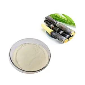 Factory Supply Instant Sugar Cane Juice Powder Sugarcane Powder Top Grade Sugarcane Extract Powder