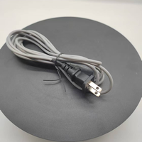 Câble chauffant certifié CE pour reptiles et amphibiens 15W/25W/50W, étanche, pour terrariums de serpents/lézards avec prise EU/US