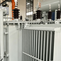 Transformateur de puissance triphasé immergé dans l'huile 35 kV 8000 kVA, série S11, type conservateur, transformateur de distribution