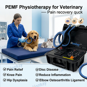 เครื่องบำบัดอาการปวดด้วยคลื่นแม่เหล็กไฟฟ้า PEMF ได้รับการรับรองมาตรฐาน CE สำหรับการรักษาอาการปวดเรื้อรัง กระตุ้นกล้ามเนื้อ นวดตัวสัตว์ และการบำบัดด้วยแม่เหล็ก - Product Image 1