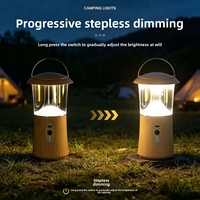 Lampe de camping portable à filament de tungstène pour l'extérieur, lampe de camping LED multifonctionnelle rechargeable avec éclairage longue durée