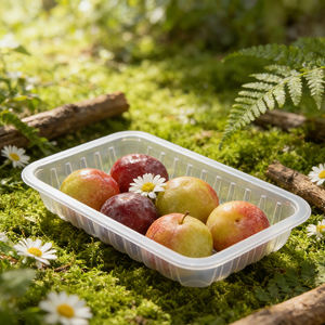 กล่องพลาสติกใส่อาหารแบบใช้แล้วทิ้ง ขายตรงจากโรงงาน สำหรับใส่กลับบ้าน ปิดผนึกแน่น ใช้กับไมโครเวฟได้ แบบกล่องเบนโตะ - Product Image 3