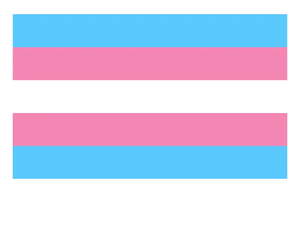 Banderas del Orgullo Gay, Lésbico, Transgénero y Bisexual de la Comunidad LGBT, Directo de Fábrica - Product Image 6