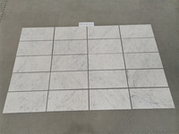 Centurymosaic Factory, vente en gros de carreaux de marbre blanc de Carrare, Italie, pierre naturelle, carreaux de marbre de 24x24 pouces pour les projets de villas et d'hôtels