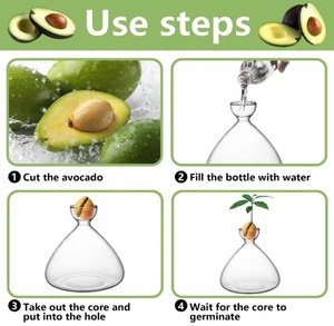 Kit per la coltivazione di avocado ecologico in offerta speciale, ciotola per la semina di avocado, vassoio in vetro e sughero per la germinazione dei <span class=keywords><strong>semi</strong></span>, contenitore trasparente per l'acqua, per la casa - Product Image 4